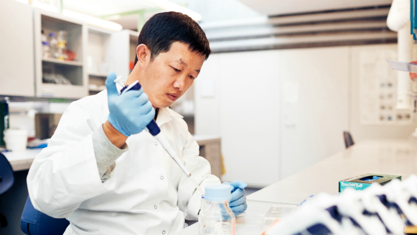 Danish Diabetes Academy Post Doc Honggang Huang