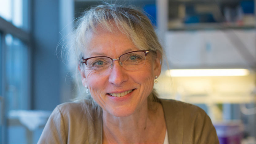 Statement about Danish Diabetes Academy