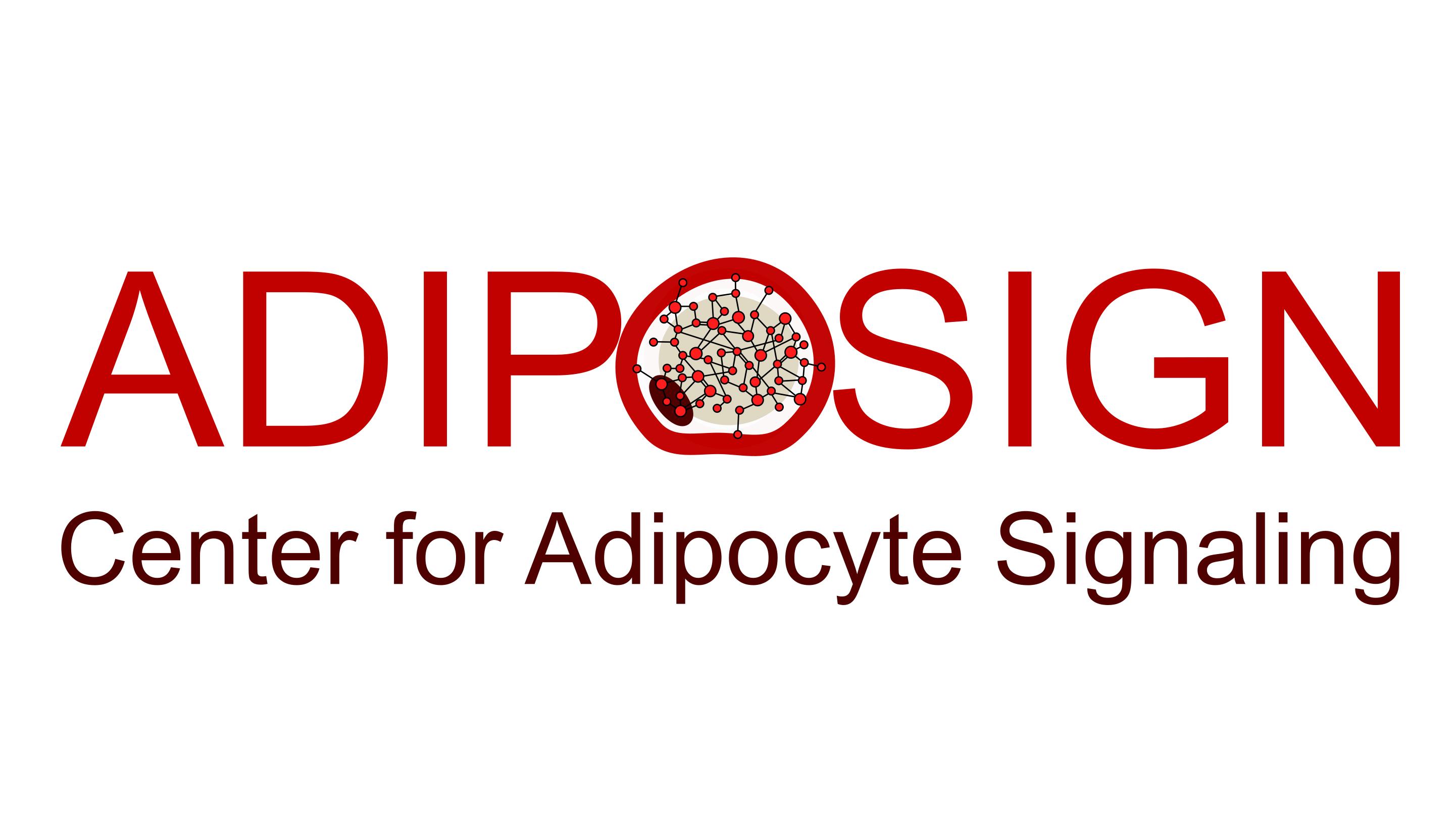 Center for Adipocyte Signaling – ADIPOSIGN seeks outstanding researchers and staff -